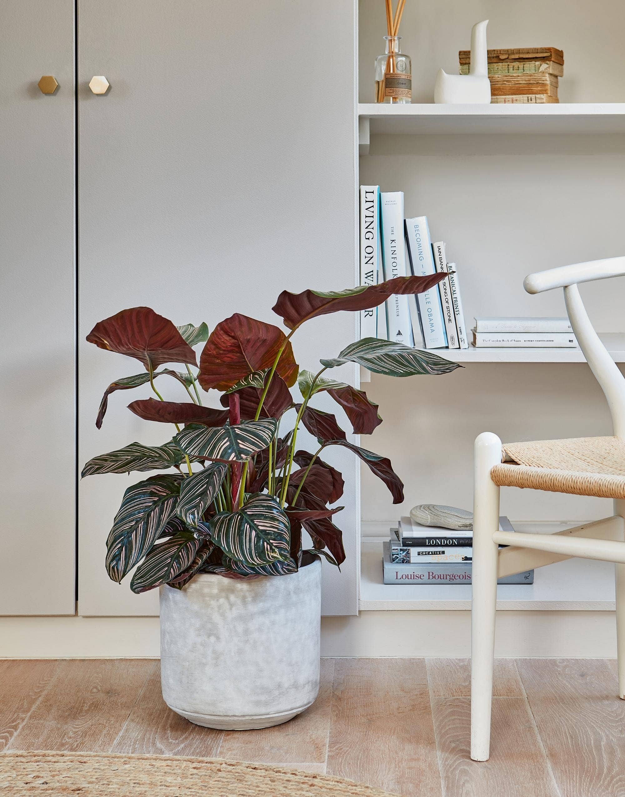 Ivyline - Vente Pot pour plante d'intérieur - Jardinière d'intérieur Ivyline Tivoli, hauteur 25 cm x profondeur 26 cm2