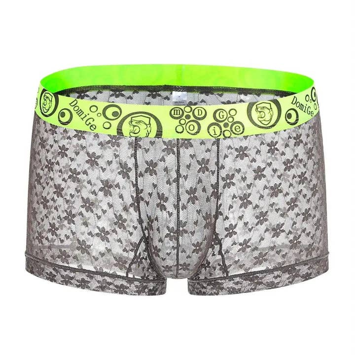 DomiGe - Wholesale Ondergoed - Heren - Trunks van mesh en doorschijnend materiaal voor heren met stijlvolle tailleband met logo, ultiem comfort en verleiding voor mannen23