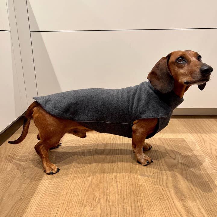 Maglione in pile di cotone per bassotto John per la vendita all'ingrosso da parte di Dachshund Couture