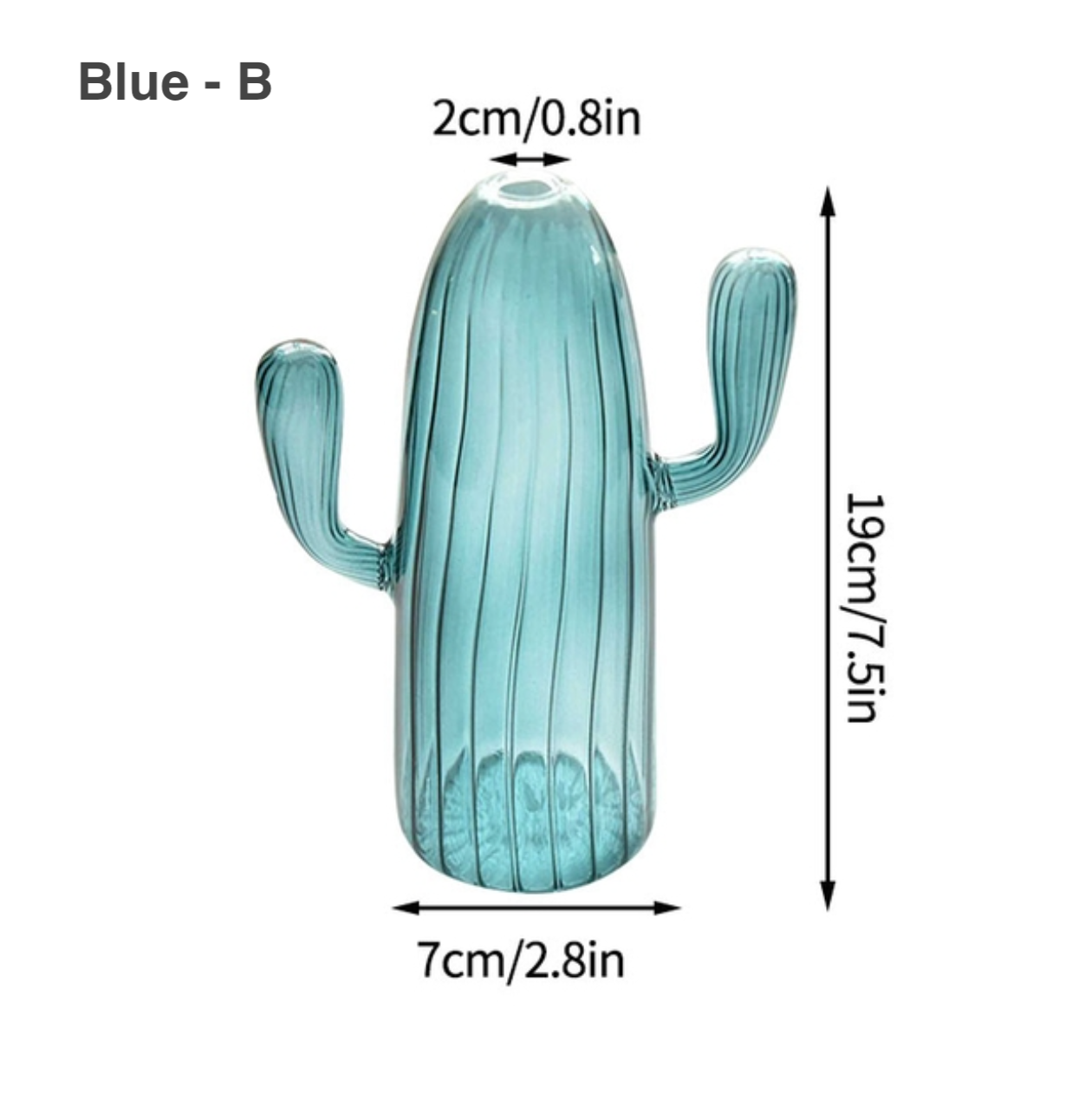 IVORE.GROUP (We cover All Import duty) - Wholesale Vase - Cactus Shaped Glass Hydroponics Plant Vase2