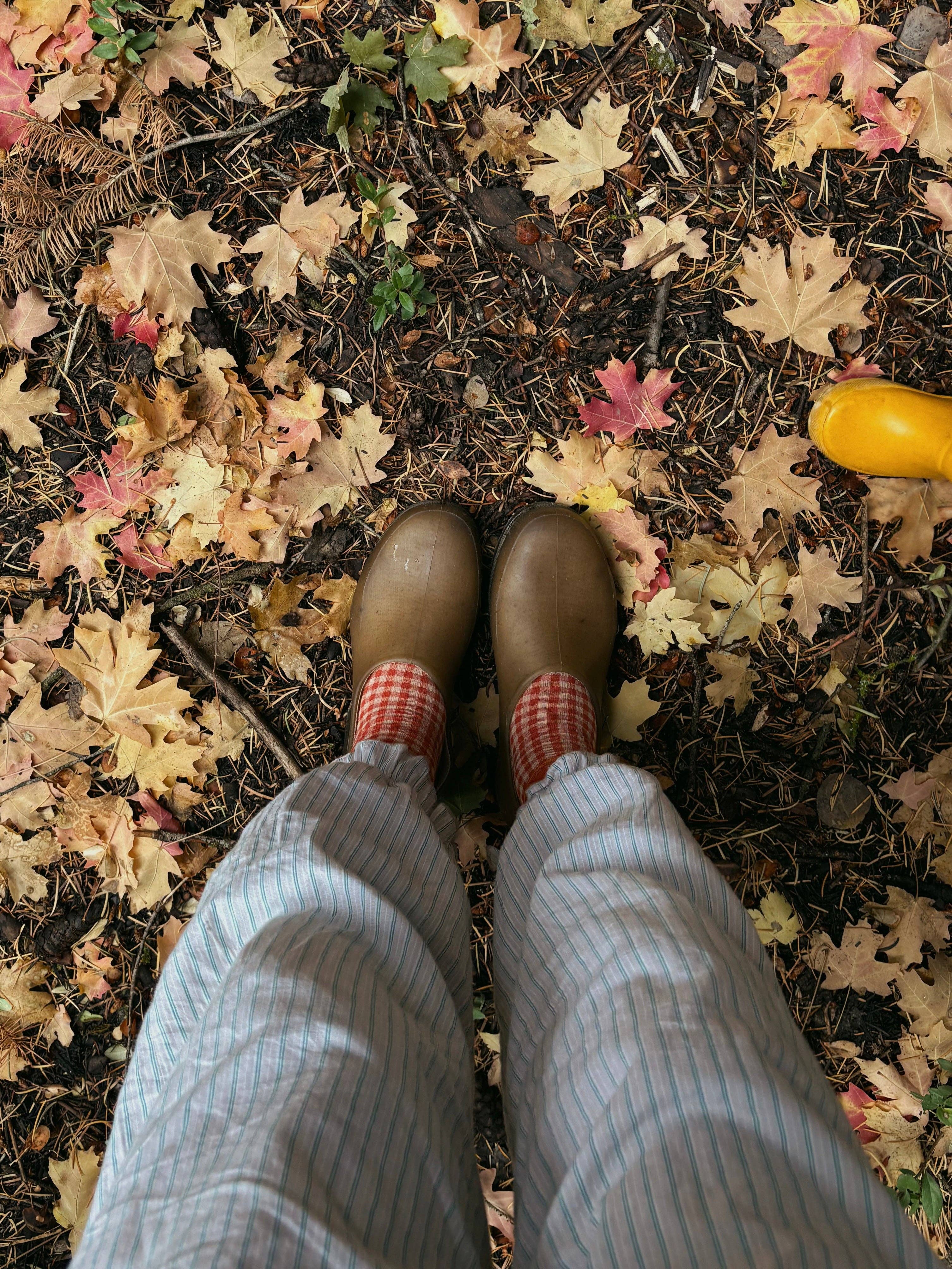 Beaten Path Co - Wholesale Socks - Unisex - PEACH GINGHAM SOCKS1