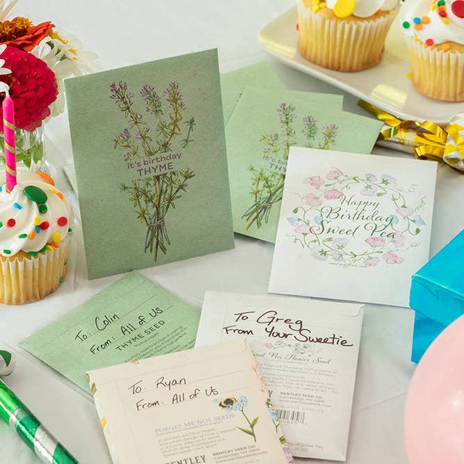 Bentley Seed Co. - Wholesale Birthday Card - It's Birthday Thyme - Thyme Seed Packets7