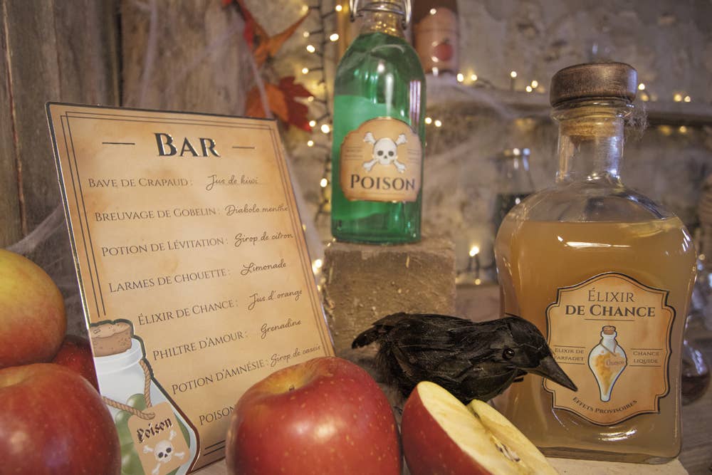 Tim&Puce Factory - Venta al por mayor Pegatina - Set de decoración Bar de los Aprendices de Hechicero10