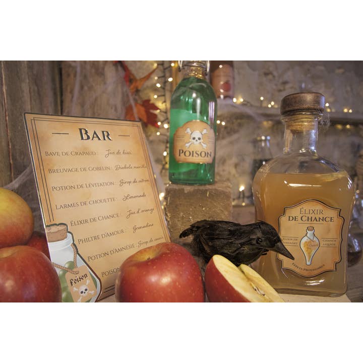 Tim&Puce Factory - Venta al por mayor Pegatina - Set de decoración Bar de los Aprendices de Hechicero10