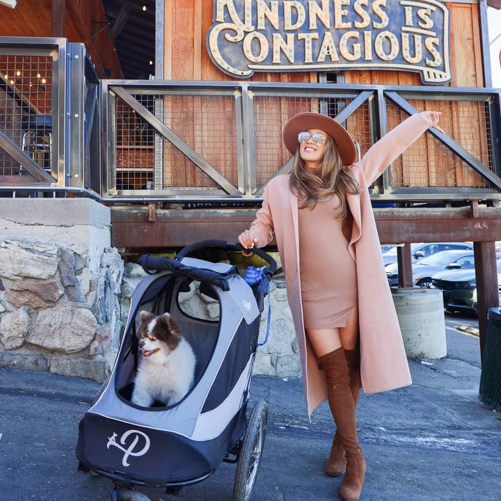 Only An Ocean Europe - Wholesale Pet Carrier - Cat/Dog - Petique Trailblazer Pet Jogger28