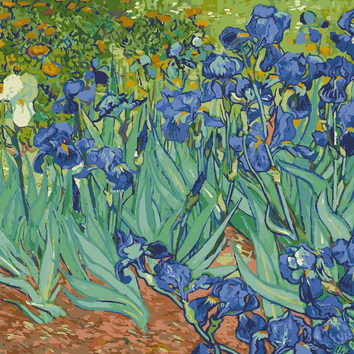Winnie's Picks - Wholesale DIY Craft Kit - Irises, by Vincent van Gogh - Self-care Paint by Numbers kit2