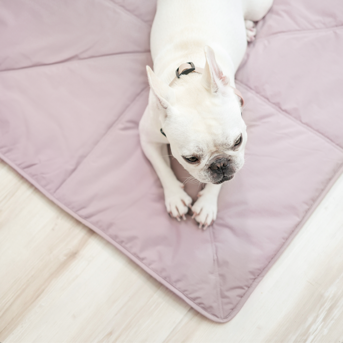 Lambwolf Collective - Wholesale Pet Mat - Dog - ORII | ultralight pet travel mat//DOG MAT5