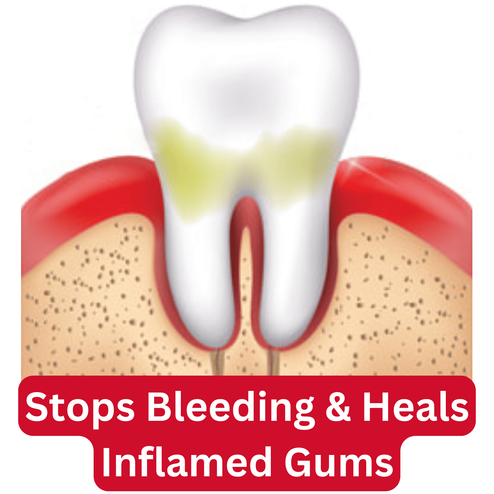 LACALUT - WHOLESALE - Wholesale Toothpaste - LACALUT Aktiv 75ml - RRP $13.9518