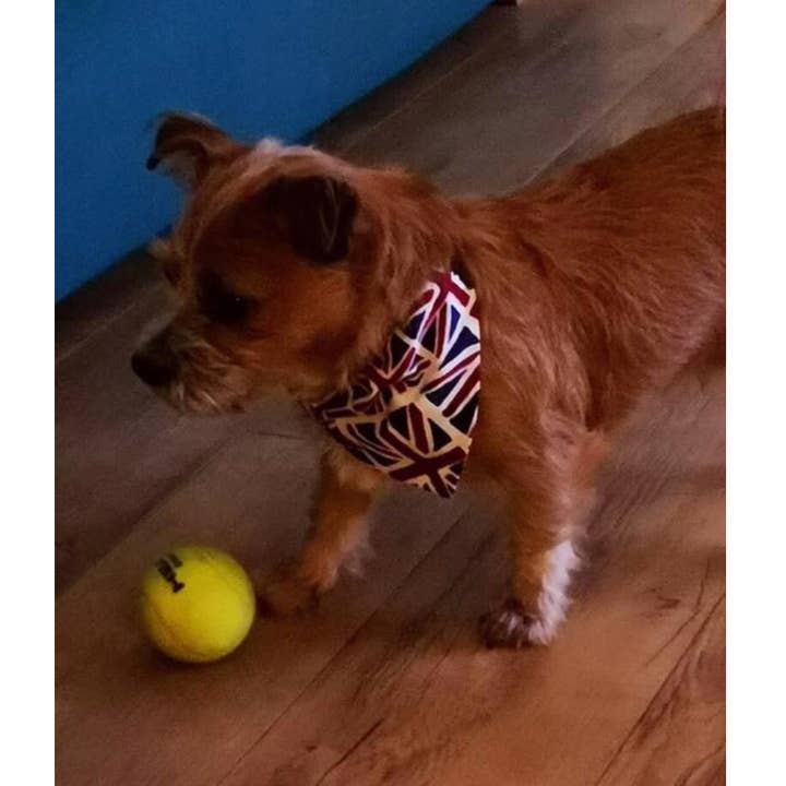 Storms Style - Wholesale Pet Bandana - Dog - Union Flag Pet Bandanas - Dog Cat