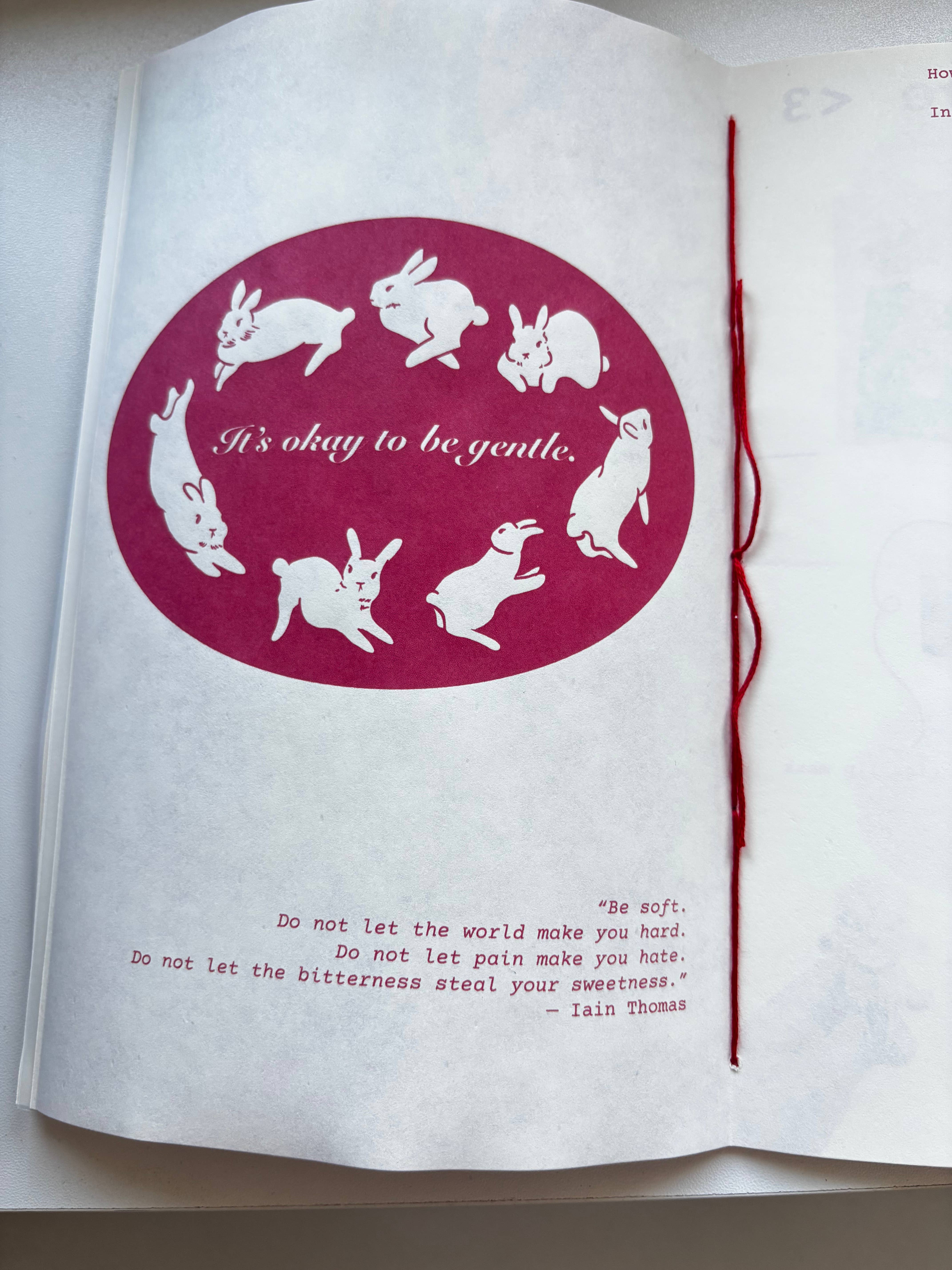 UNFOLDZinesandArt – Großhandel Zeitschrift – Noch irgendwo weich - Pergament Halbseitiges Zine, Coquette7