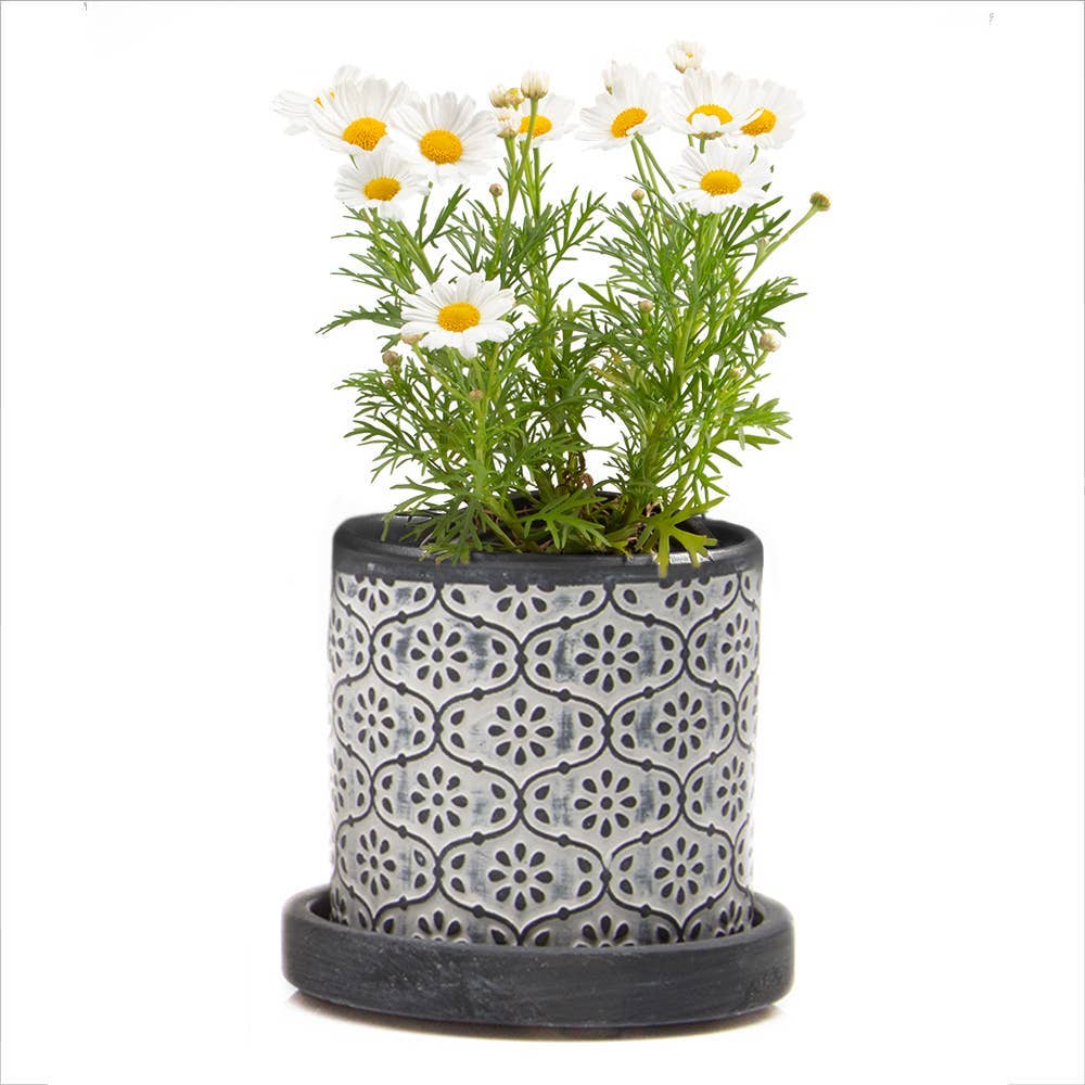 Chive UK - Wholesale Plant Pot - Balter Pot with Saucer for Houseplants, Cacti, Succulents10
