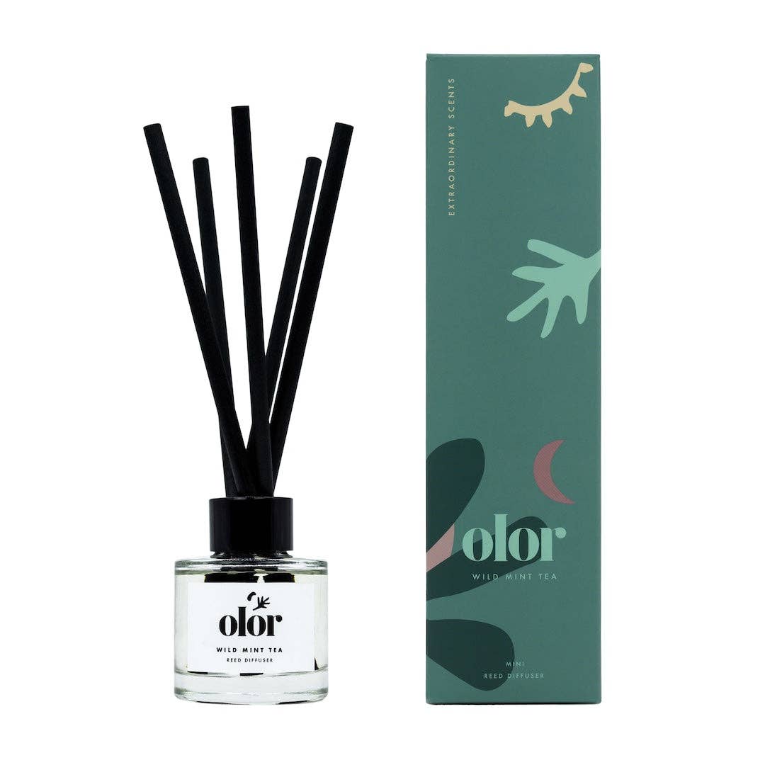 OLOR – wholesale Reed diffuser – Wild Mint Tea Mini Reed Diffuser2