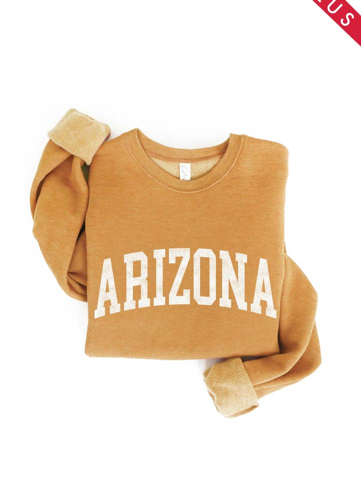 ARIZONA Plus sweatshirt met grafische print voor wholesale door OAT COLLECTIVE