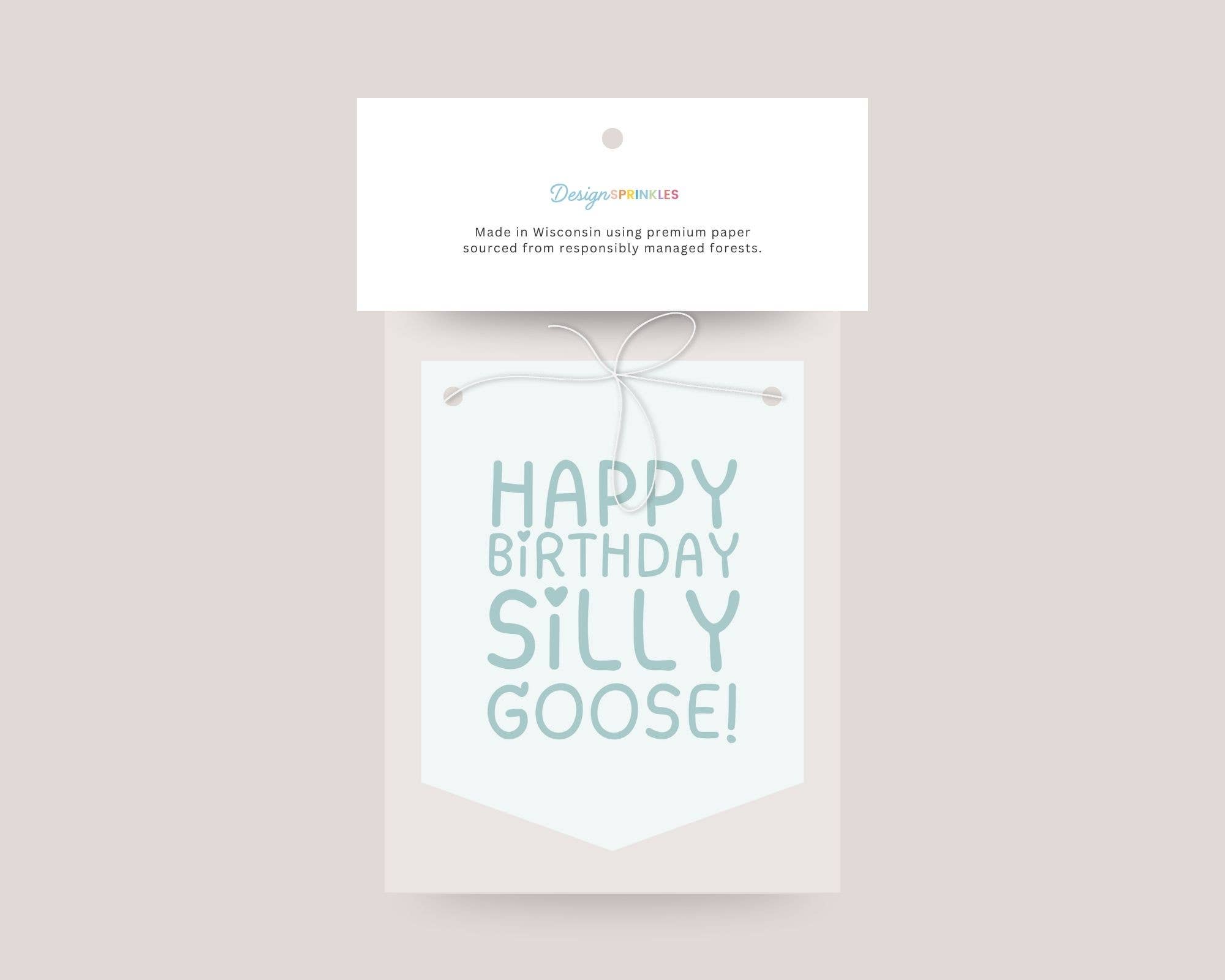 Design Sprinkles – Großhandel Party-Schild/Banner – Albern Gans Geburtstagsbanner für Babys und Kleinkinder4