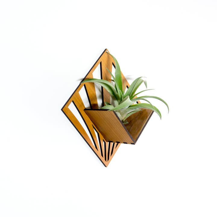 LIGHT RAZOR DESIGN STUDIO - Wholesale Wall planter - Air Plant Holder / Quadrate Wall Hanging Planter 265