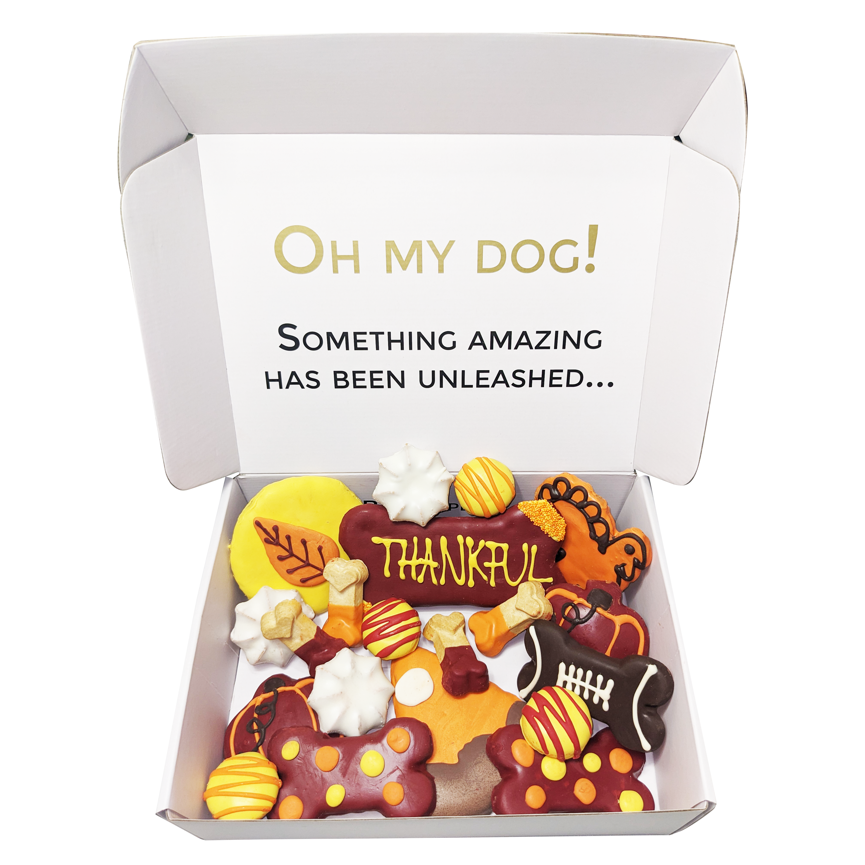 Bonne et Filou - Wholesale Hondenkoekjes - Hond - Dankbare hondenkoekjes geschenkdoos | Honden cadeaus2