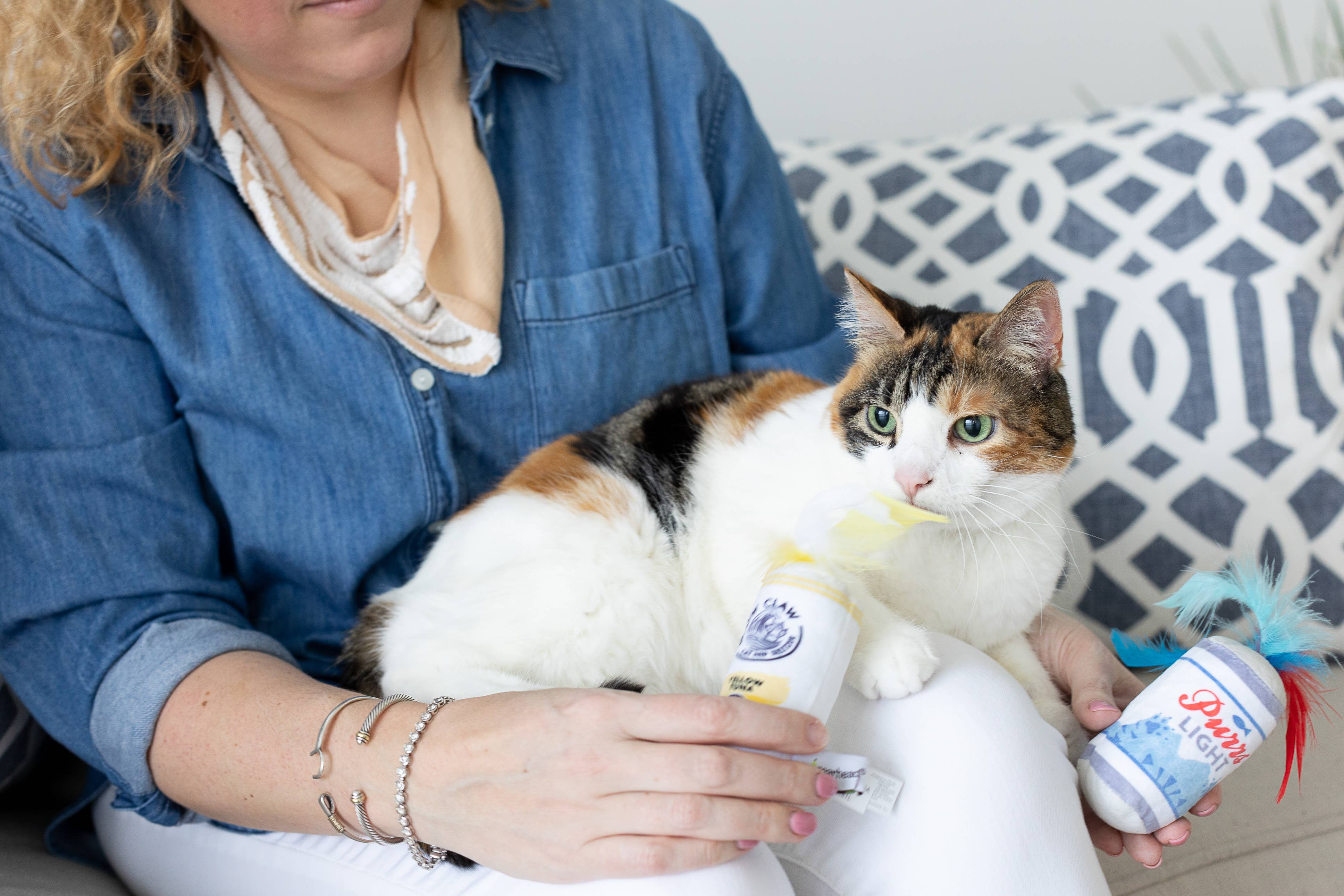 Pearhead - Wholesale Pet Toy Set - Cat - Drink Cat Toys, Set of 22