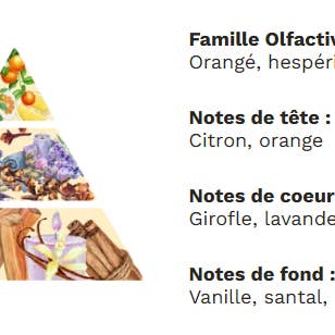 Arhomie - Wholesale Jar/Filled Candle - Spicy Escape2