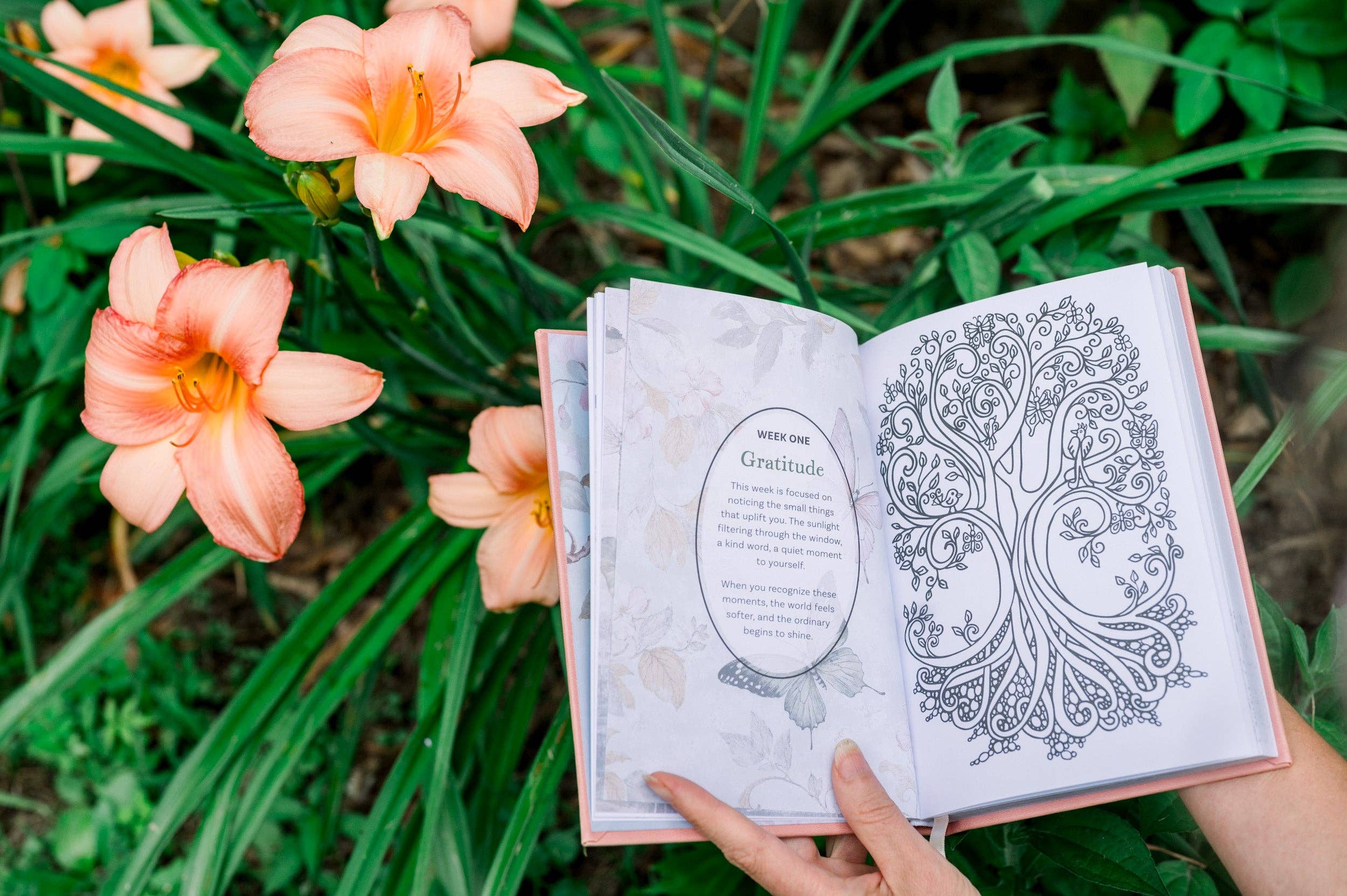 Innerlight Compass – wholesale Journal och dagbok – Daglig guidad dagbok med målarbilder16