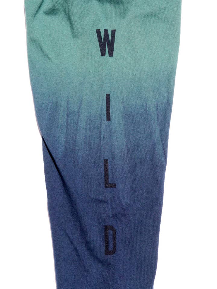 Green Blue Up a Creek Bear in a Canoe Dip-Dye long sleeve graphic tee for wholesale on Faire