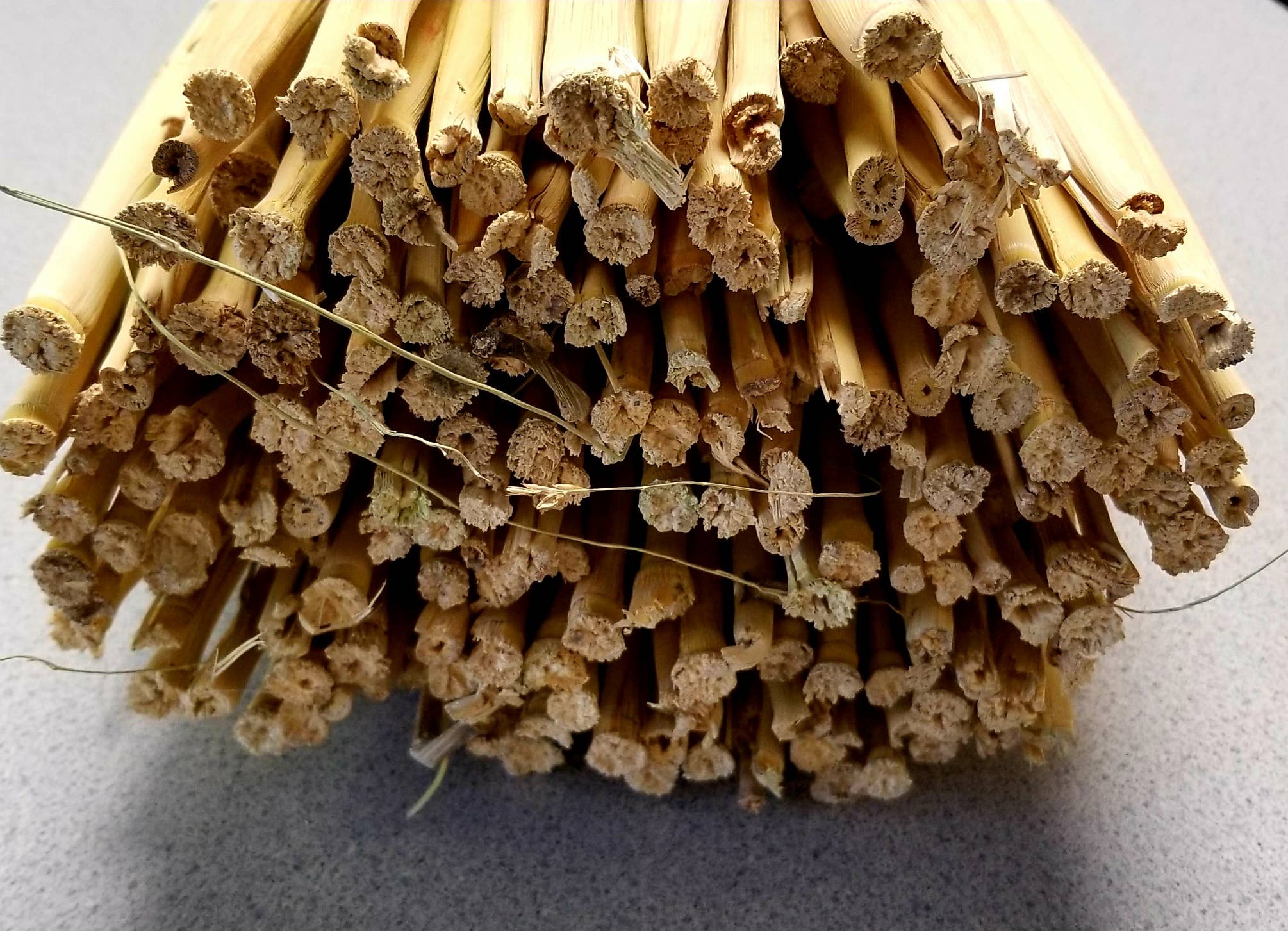 Parker Homestead - Wholesale Craft Supplies - Craft Broom Corn2