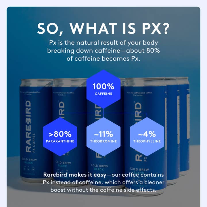 Rarebird - Wholesale Iced Coffee/Cold Brew - Ready-to-Drink Px Coffee4