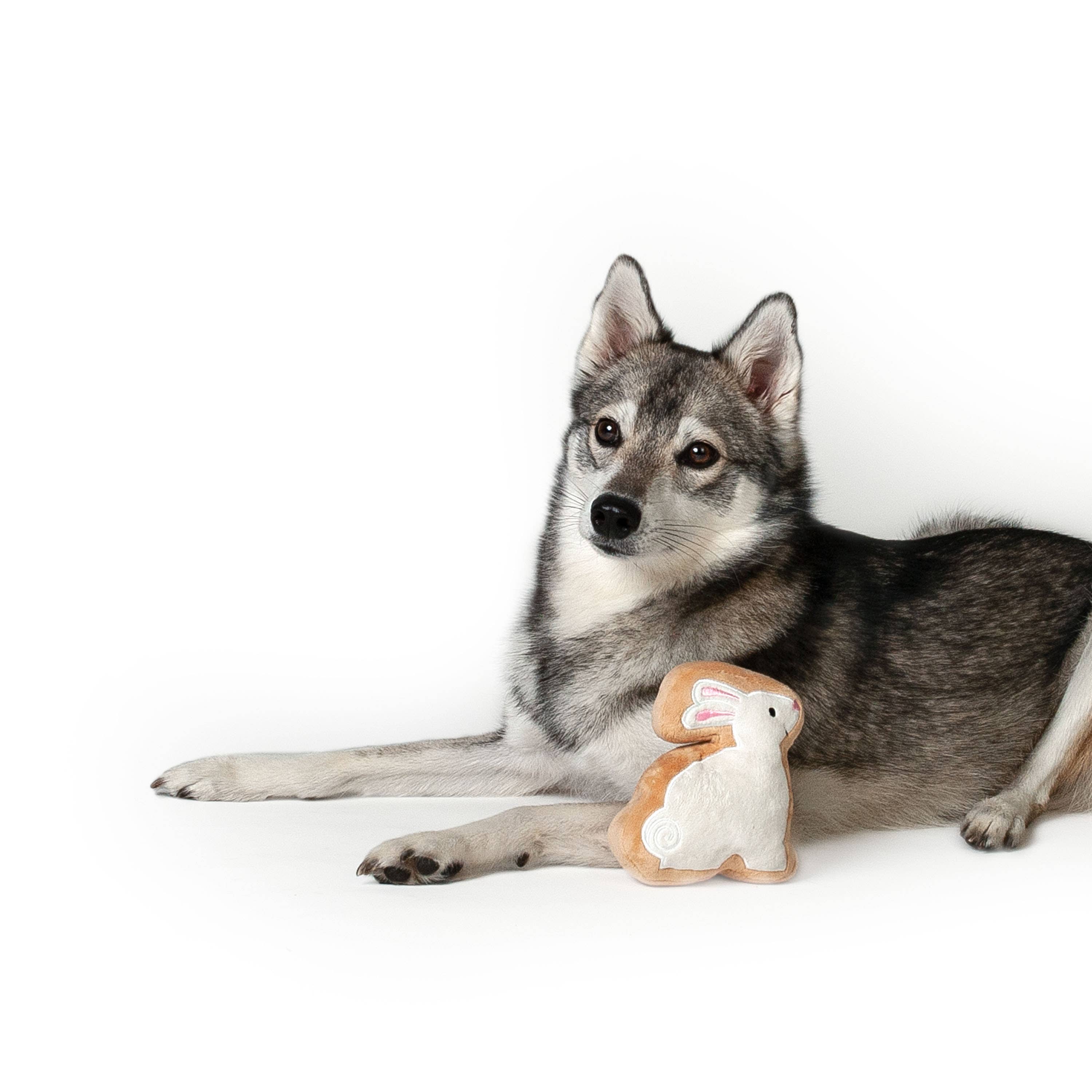 Midlee Designs - Wholesale Speeltje - Hond - Midlee Sugar Cookie Paashaas Hondenspeelgoed8