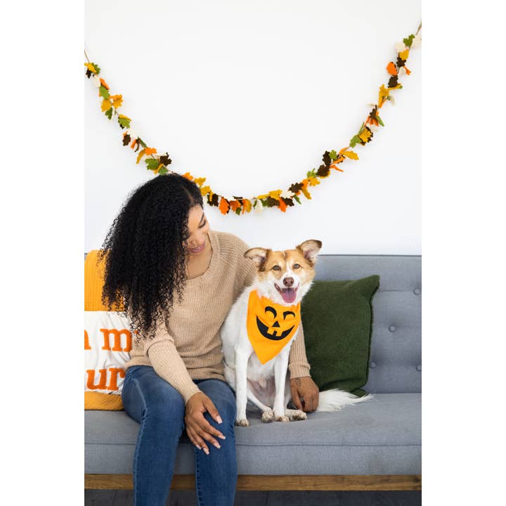Pearhead - Wholesale Pet Bandana - Dog - Pumpkin Dog Halloween Bandana, M/L