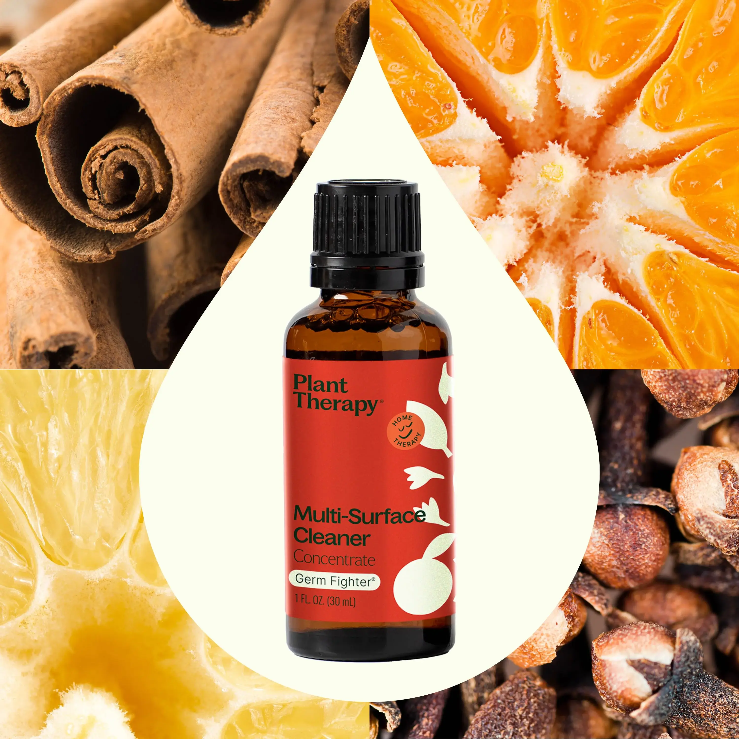 Plant Therapy – wholesale Multi-surface cleaner – Germ Fighter Multi-Surface Cleaner Concentrate 30 mL 2 pack5