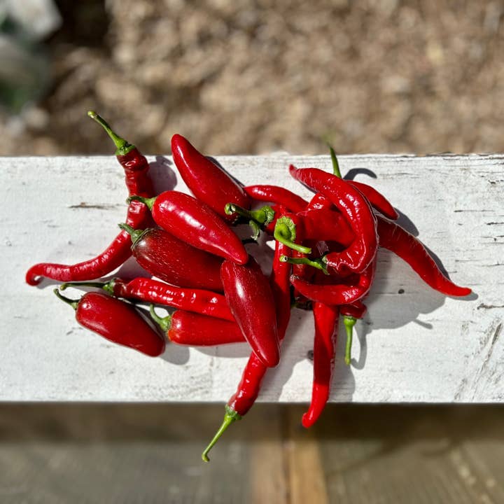 Silver Leaf Farms - Wholesale Hot Sauce - Red Jalapeño Fermented Hot Sauce2