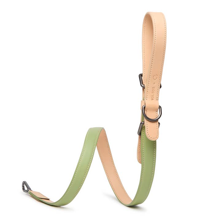 Strap CoLAB Matcha modulares Halsband und Leine für den Großhandel von VOL DOG