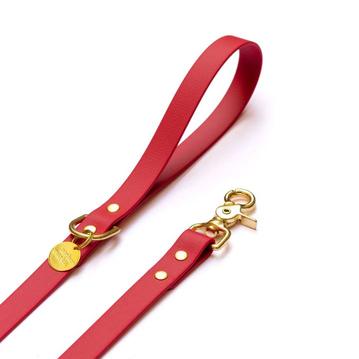 Atelier Markiz - Wholesale Pet leash – Dog - Cherry waterproof jacket