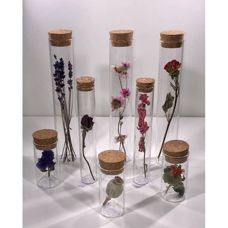 Muno – Flores secas/prensadas por atacado – Tubos de vidro de 15 cm com flores secas - Presente6