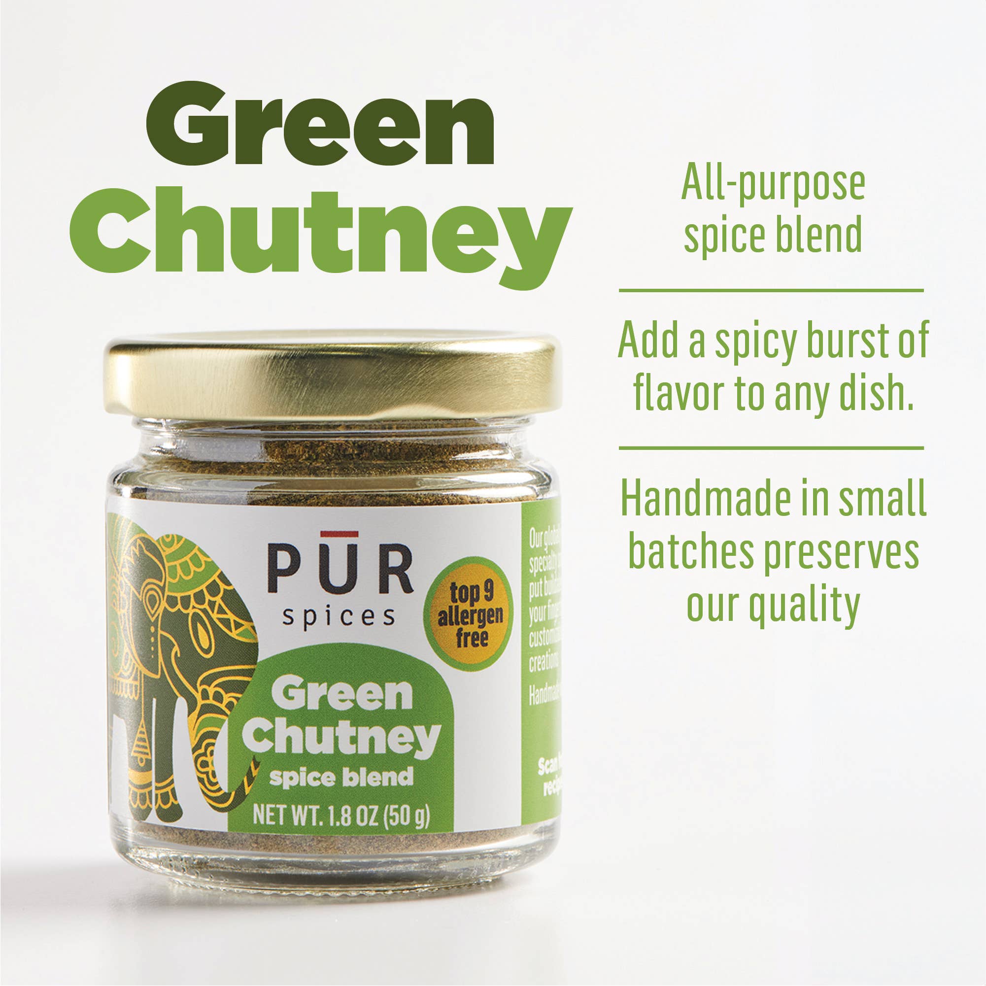 PUR Spices - Wholesale Chutney - Green Chutney2