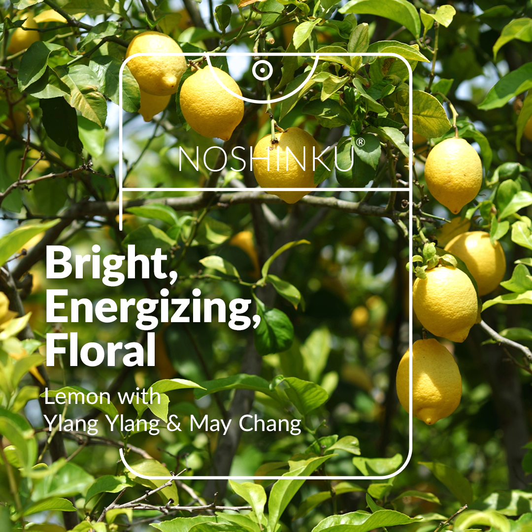 Noshinku - Wholesale Hand Sanitizer - Refillable Lemon Ylang-Ylang Moisturizing Pocket Sanitizer6