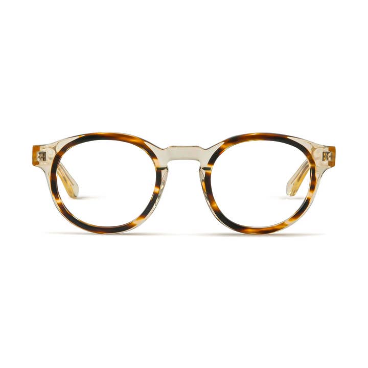 Alexis Champán y tortuga para venta al por mayor de French Kiwis