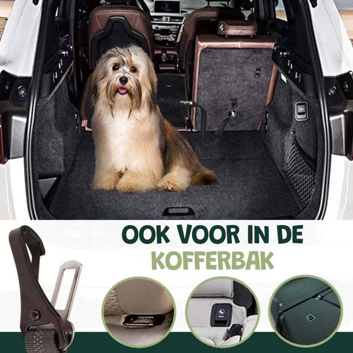 De Blaffende Kat - Wholesale Pet Leash - Dog - Elastic Dog Seat Belt 40-80 Cm - 2 Pieces2