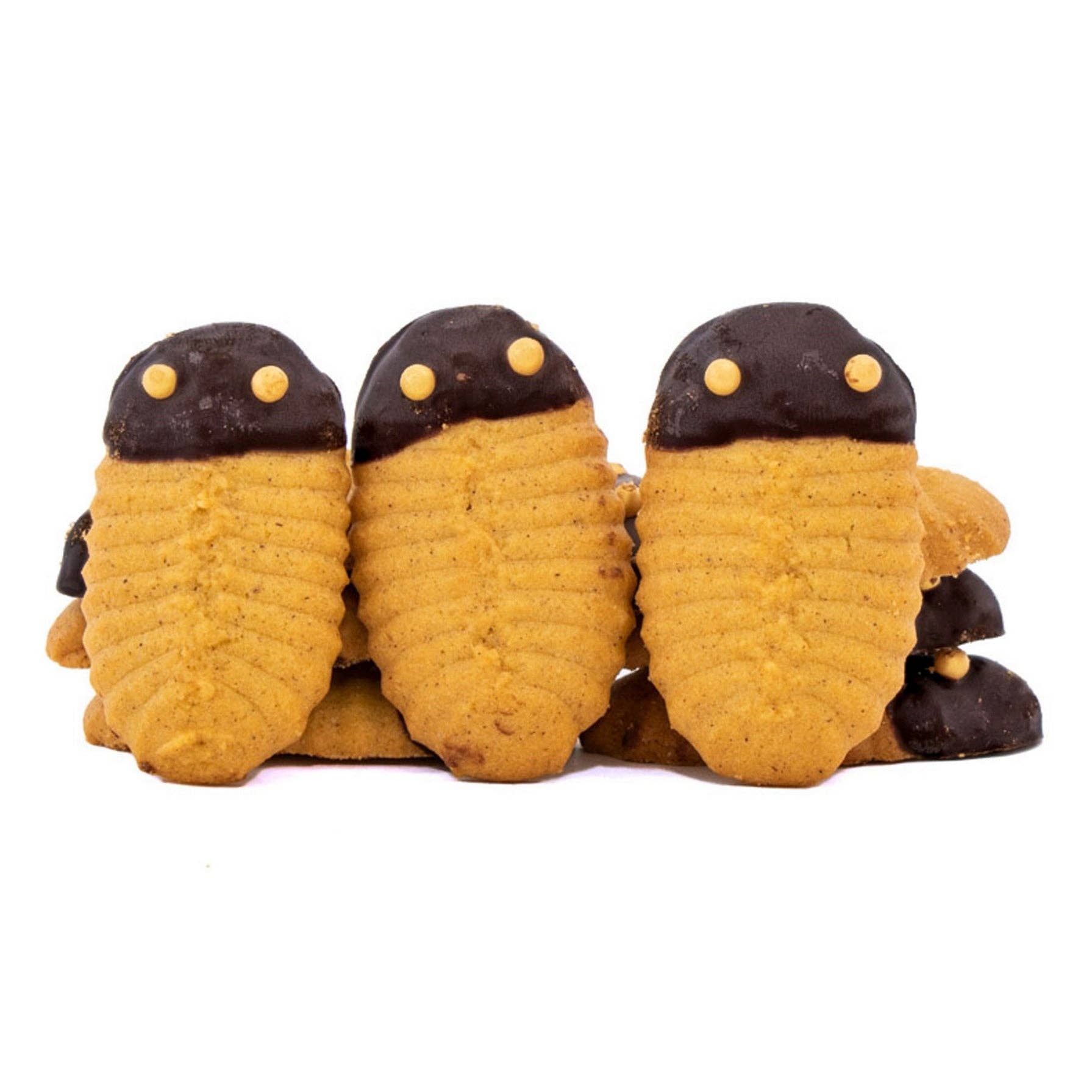 Geocakes - Wholesale Cookie - BIOLOGICAL trilobites1