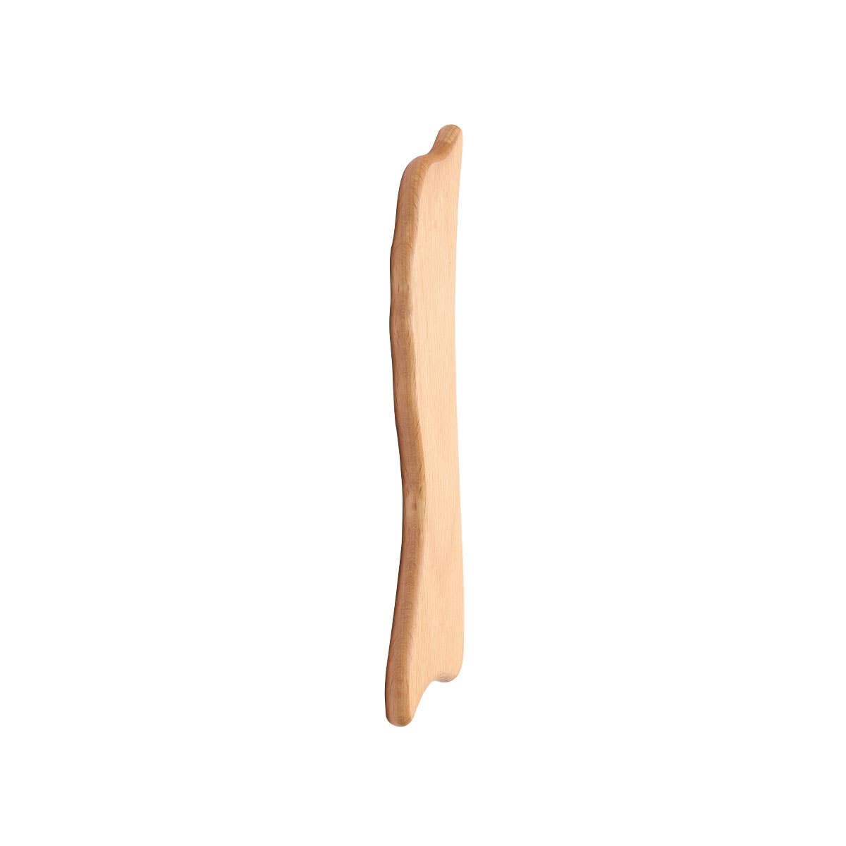 Fa brushes - Wholesale Gua Sha Tool - Massage wood dolphin2