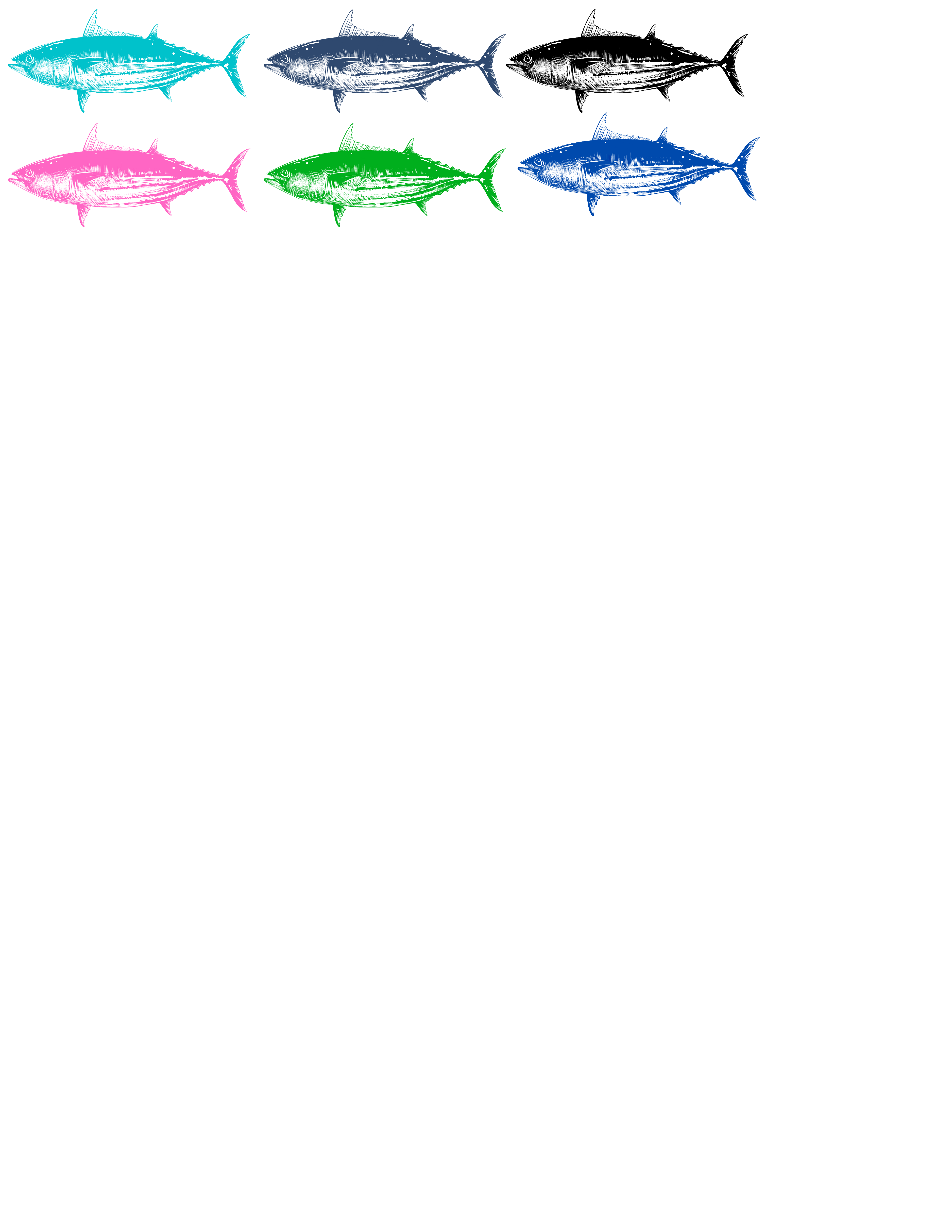 DogFish Design 13 – Großhandel Verzierungs-Set – Fisch Mini Shell 6 pk1