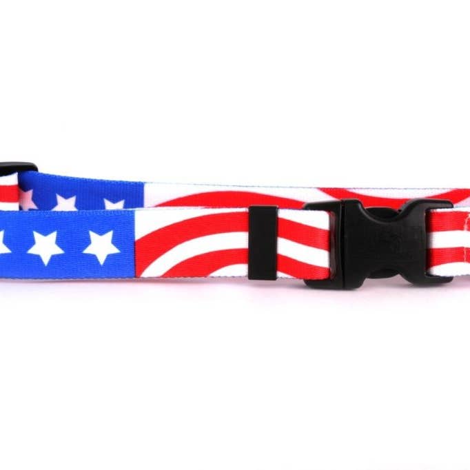 Americana Standard Collar for wholesale by Yellow Dog Design