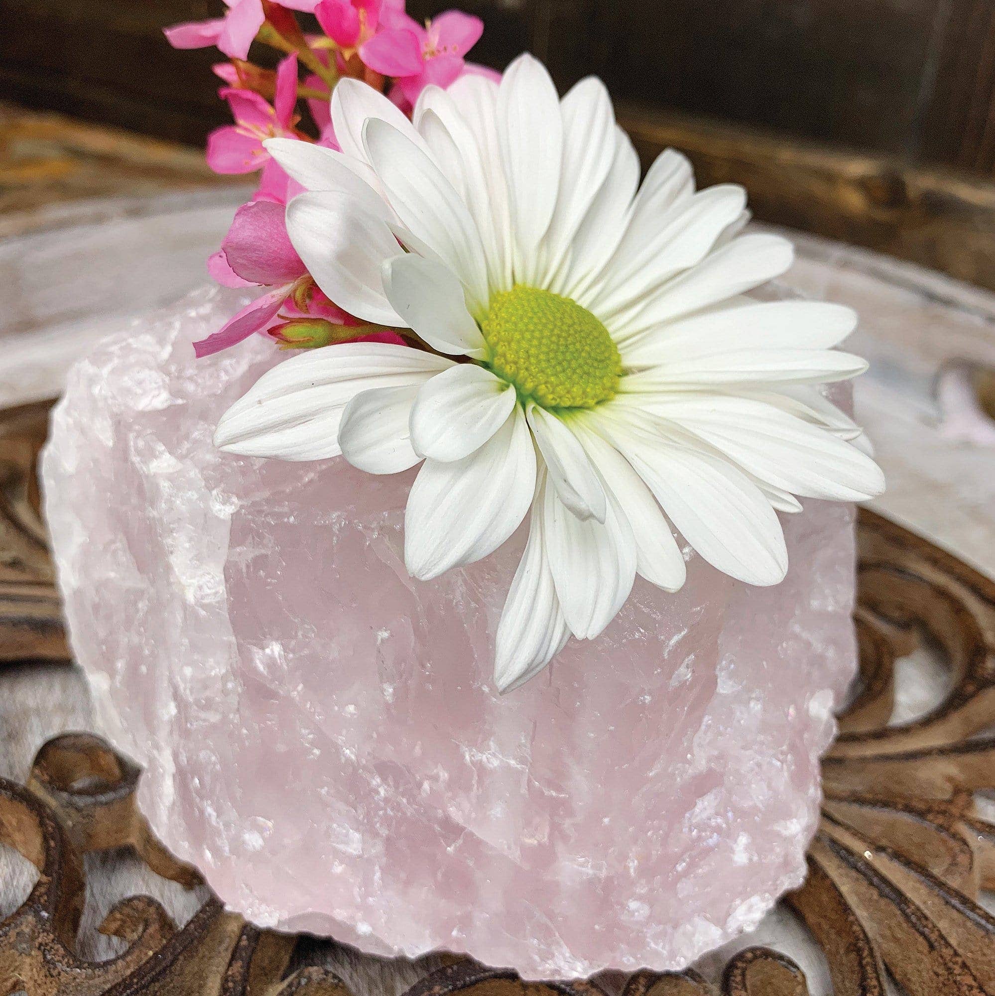 Rock Paradise - Wholesale Candle Holder - WHOLESALE Crystals - Case Pack BULK LOT - BUY THE BOX 🌸 20 Rose Quartz "B" Candle Holders - SAVINGS14