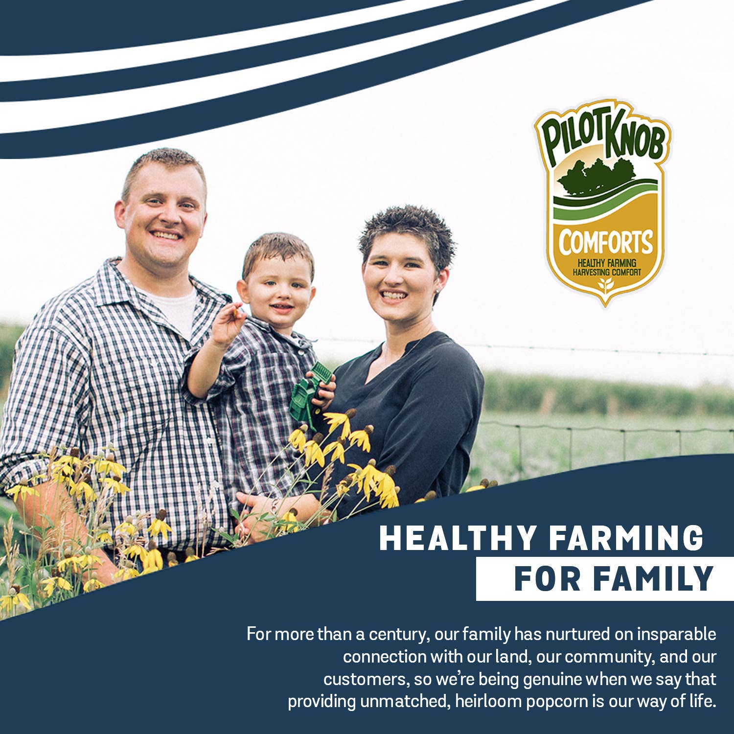 Pilot Knob Farm - Wholesale Popcorn - Blue Bounty Hull-Less, No-Toothpicks-Required Popcorn2