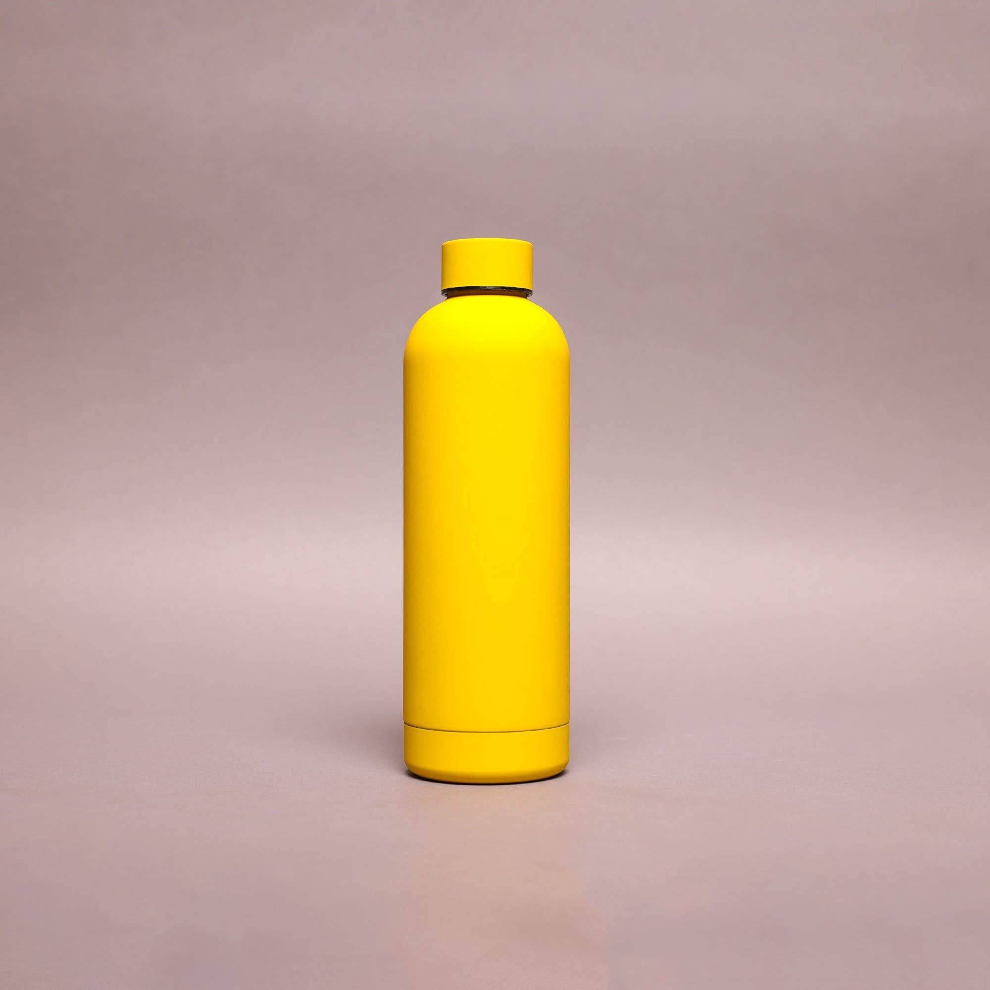 Redbrick - Venta al por mayor Botellas de agua - Botella de agua de acero inoxidable BIGGS & BANE de 350 ml, 500 ml y 750 ml5