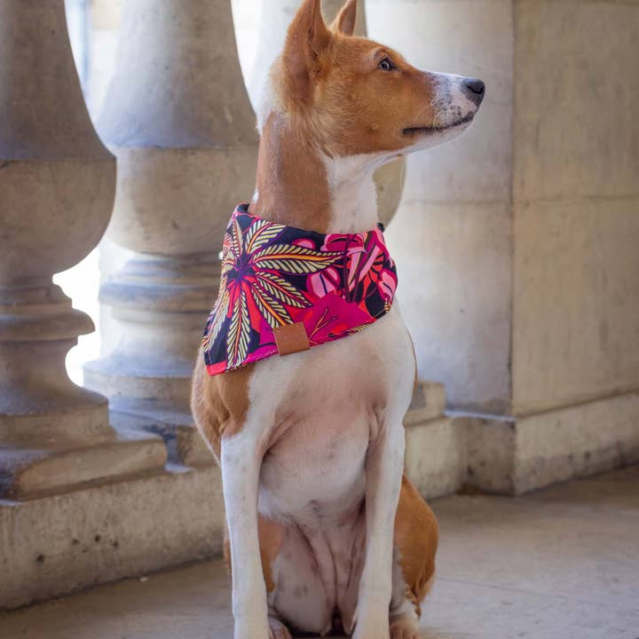 Atelier Markiz - Wholesale Hondenbandana - Hond - Java-bandana