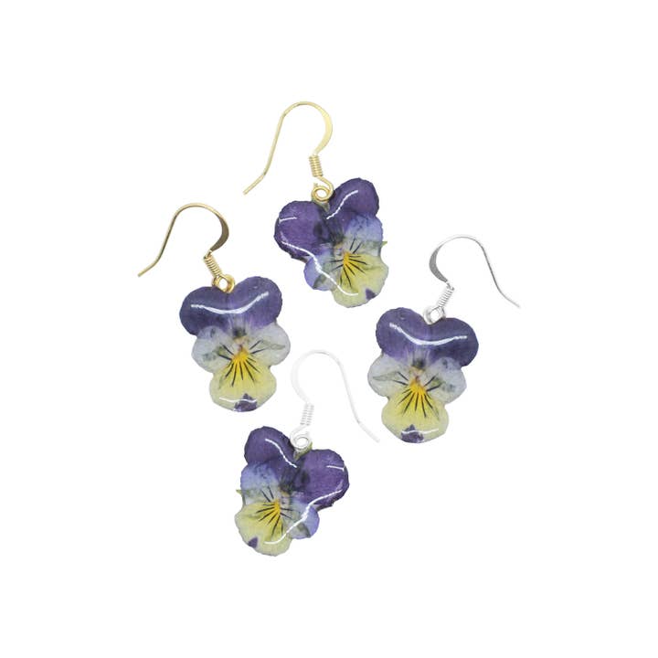 Pansies (Violas) for wholesale by Nordic Flowers