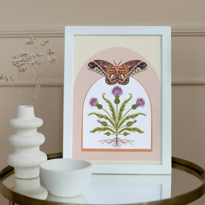 Folk Meadow - Wholesale Art Print - Cecropia Moth & Thistle Print - 8x101