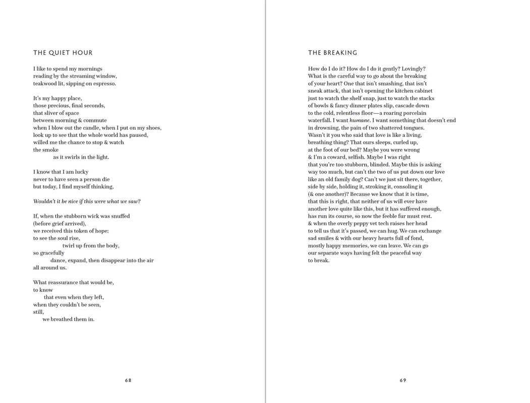 Simon & Schuster - Wholesale Poetry & Drama - What We Lost in the Swamp by Grant Chemidlin4