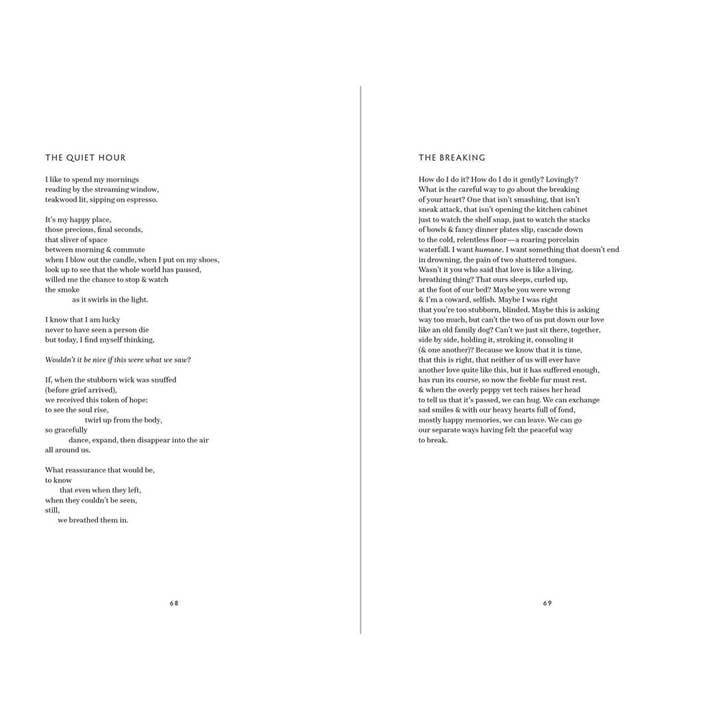 Simon & Schuster - Wholesale Poetry & Drama - What We Lost in the Swamp by Grant Chemidlin4