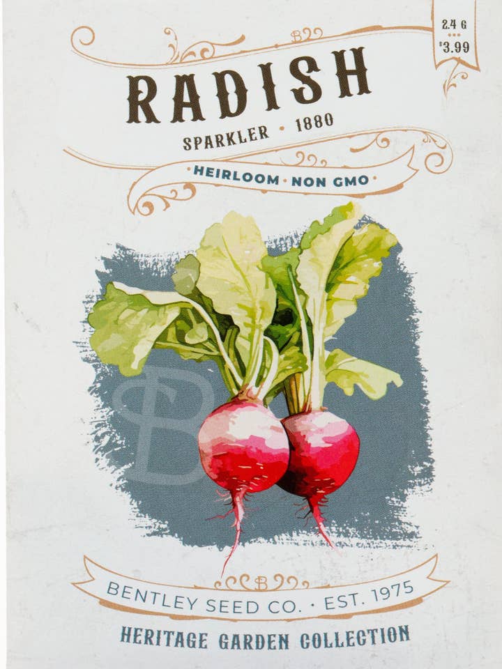 Radis-Sparkler 1880 pour la vente par Bentley Seed Co.